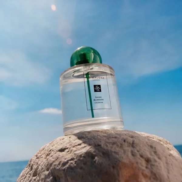 Best Perfumes for a Fresh Spring Vibe in&nbsp;2025