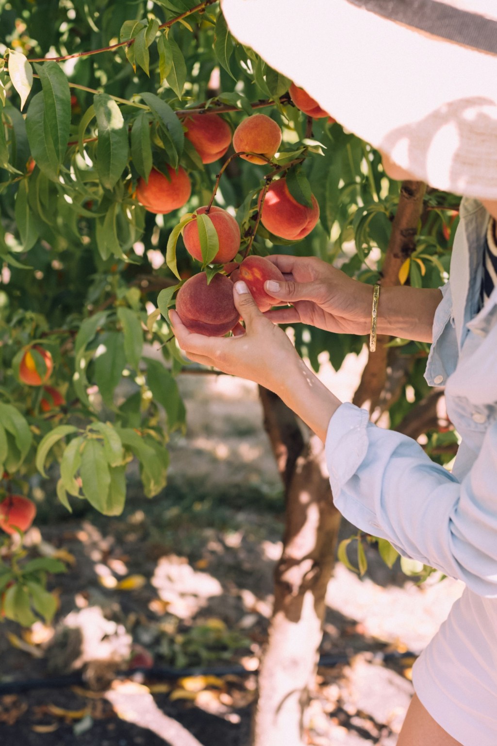 How to Savor Peach Season for Intentional Summer&nbsp;Living