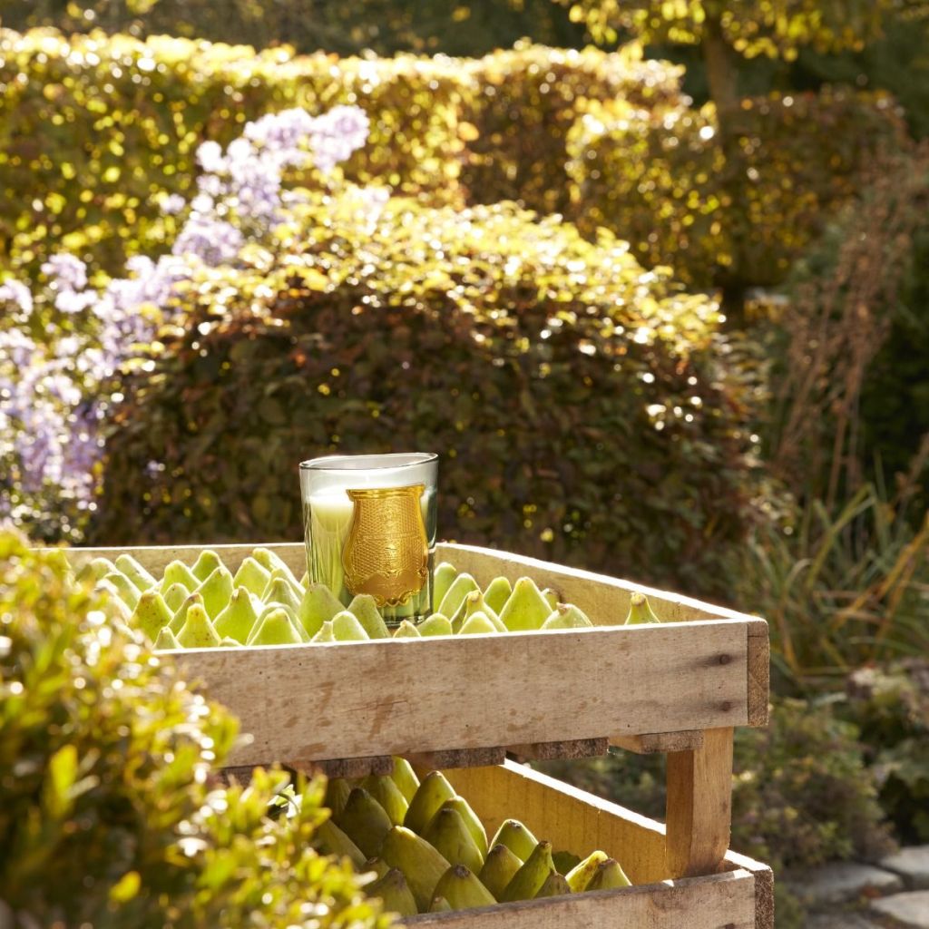 The Best New Luxury Candles for&nbsp;Spring